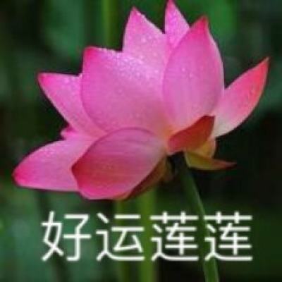 浙江杭生红木旗下新中式品牌“观象”入驻东阳红木家具市场